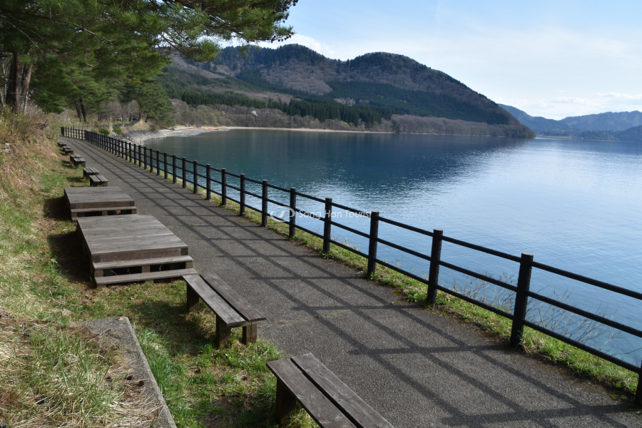 Tản bộ quanh bờ hồ để thưởng cảnh 