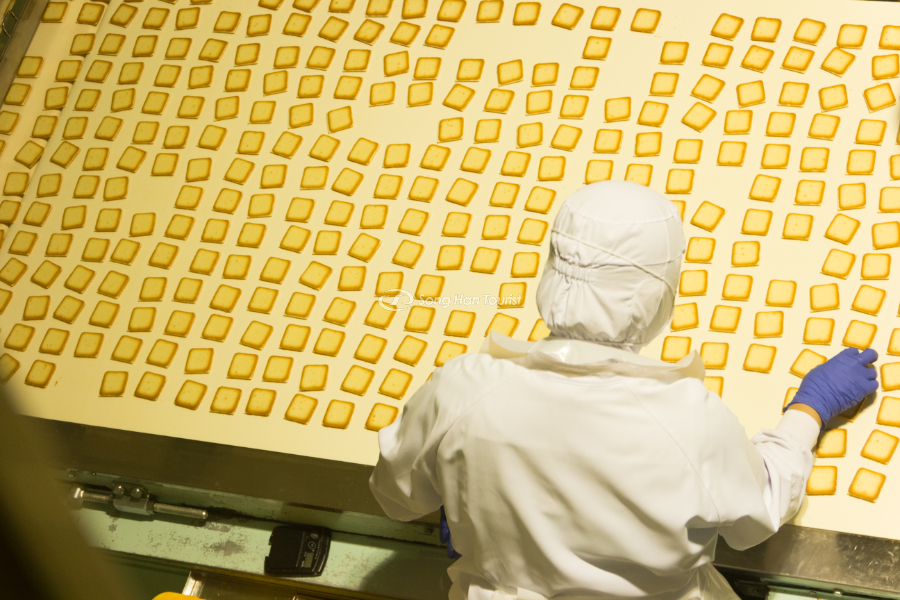 Tham quan xưởng chế biến bánh