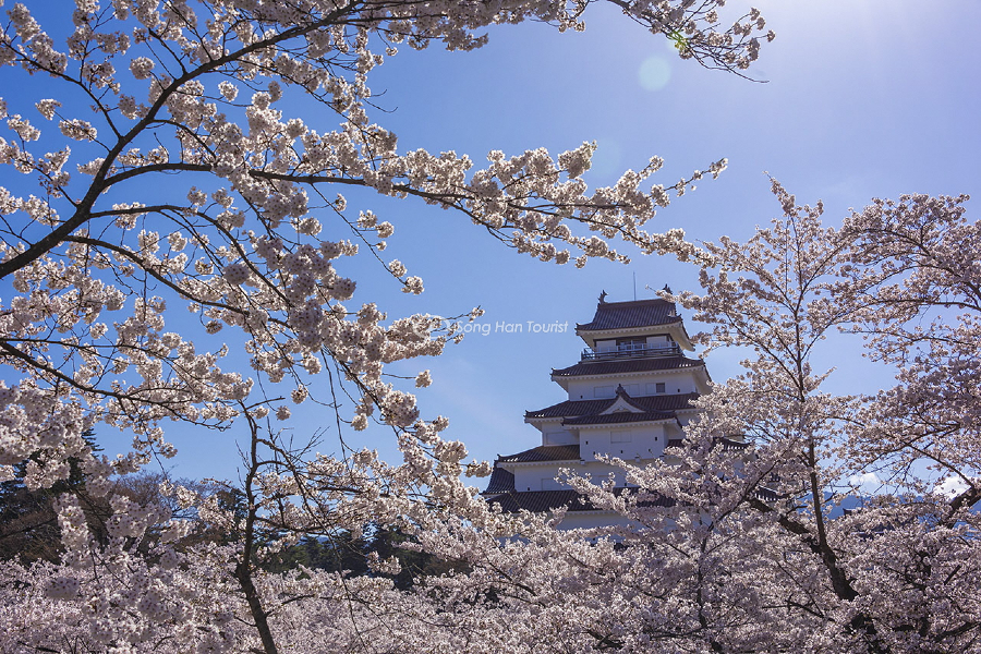 Địa điểm du lịch Nhật Bản -Thành trì Tsurugajo mùa hoa anh đào