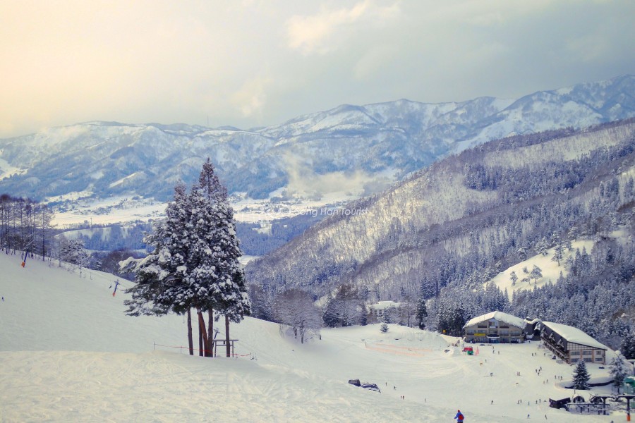 Tổ hợp vui chơi tại Nozawa Onsen