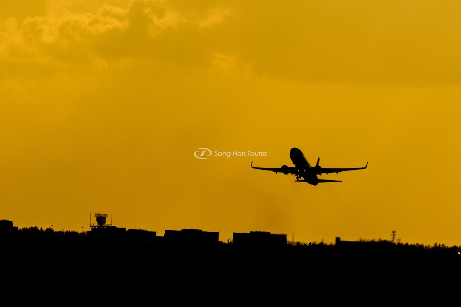 Tội nhập cảnh và rời Nhật Bản bị xử tử