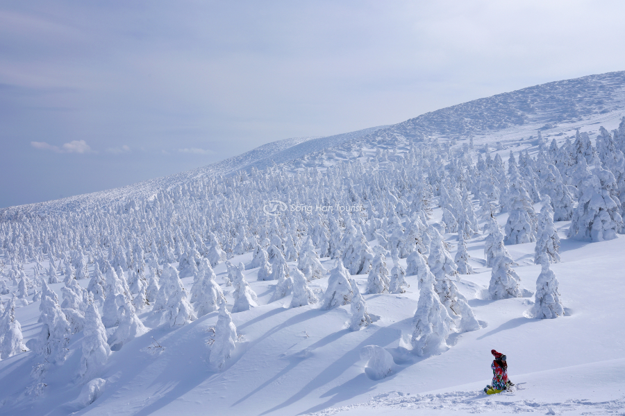 Trải nghiệm hoạt động ngoài trời tuyệt vời khi đến Zao