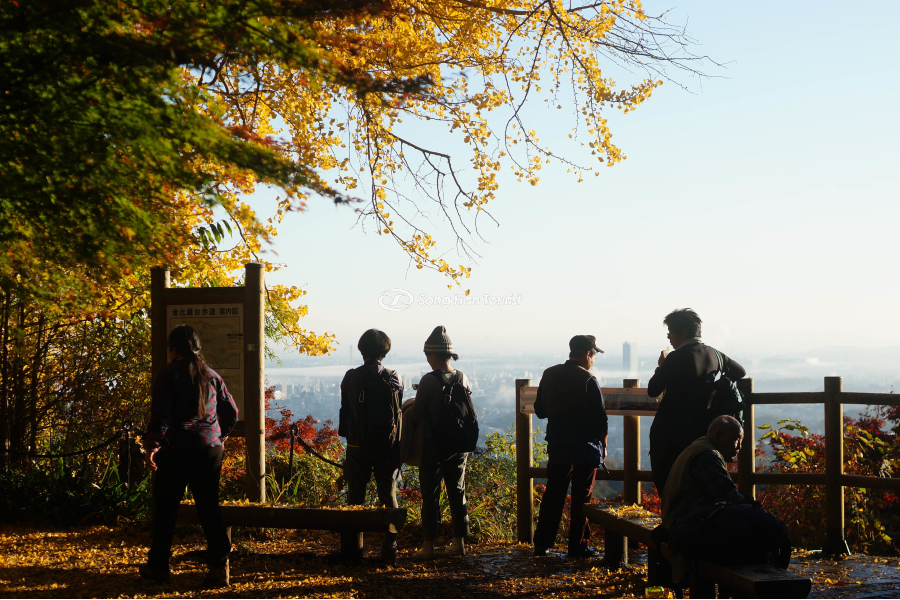 Từ trên núi Takao nhìn toàn cảnh Tokyo