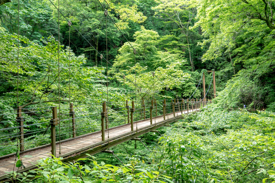 Tuyến đường leo núi số 4 với cầu treo quen thuộc 