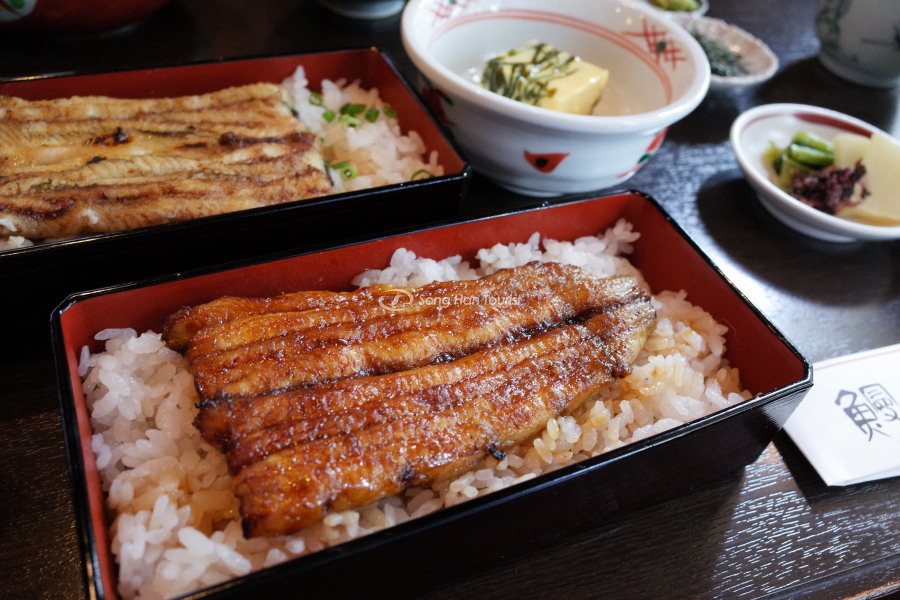 Unagi là loài lươn nước ngọt nhưng có đời sống phức tạp 