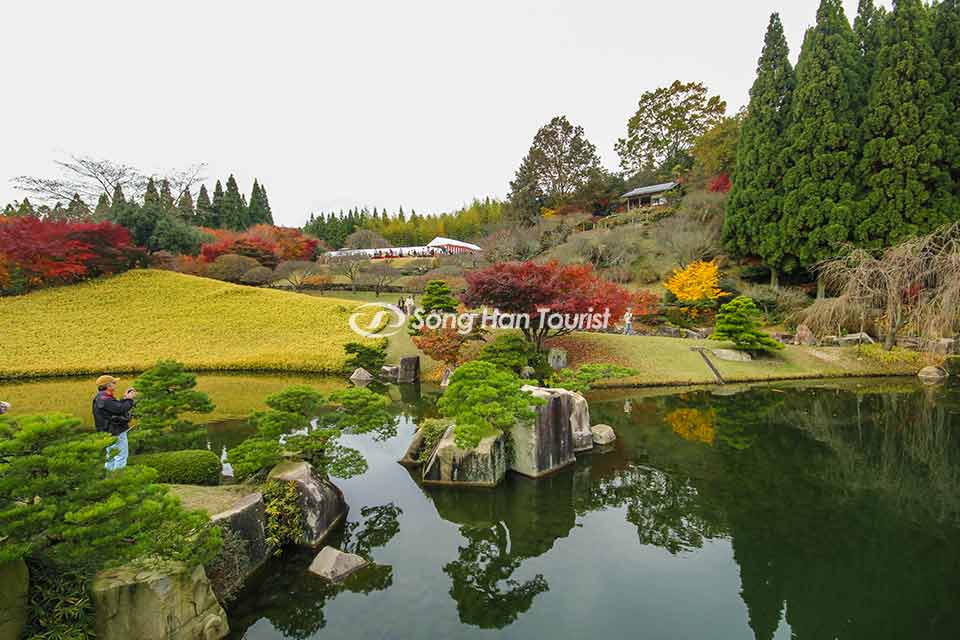 Vườn cổ Sankeien - Sông Hàn Tourist
