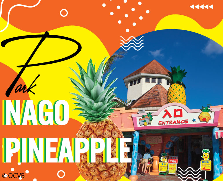 ĐỊA ĐIỂM DU LỊCH NHẬT BẢN - THIÊN ĐƯỜNG DỨA NAGO PINEAPPLE PARK