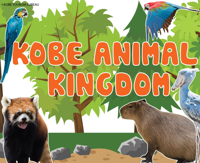 DU LỊCH NHẬT TRẢI NGHIỆM THÚ VỊ TẠI VƯỜN THÚ KOBE ANIMAL KINGDOM