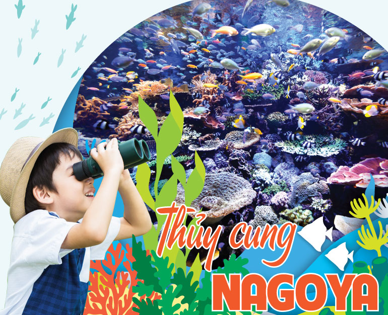 ĐỊA ĐIỂM DU LỊCH NHẬT BẢN - THAM QUAN THỦY CUNG CẢNG NAGOYA