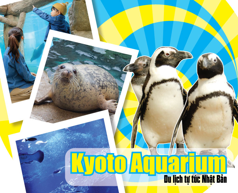 KHÁM PHÁ ĐỊA ĐIỂM DU LỊCH NHẬT BẢN NỔI TIẾNG - THỦY CUNG KYOTO