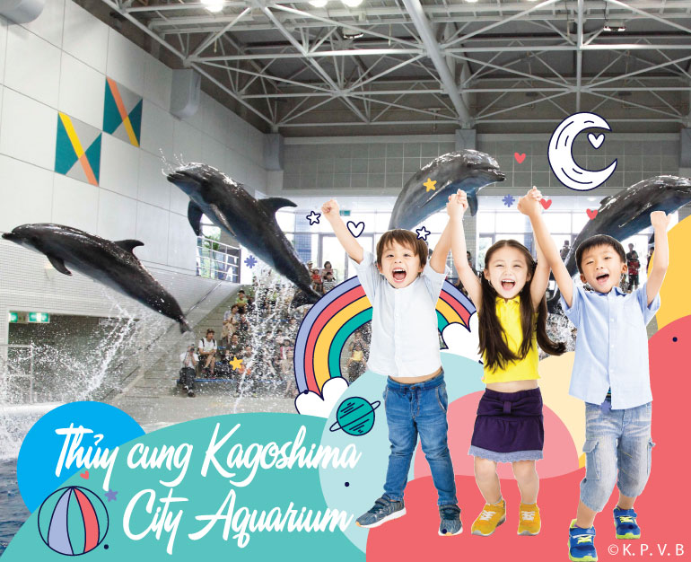 KHÁM PHÁ THẾ GIỚI HẢI DƯƠNG TẠI THỦY CUNG KAGOSHIMA CITY AQUARIUM