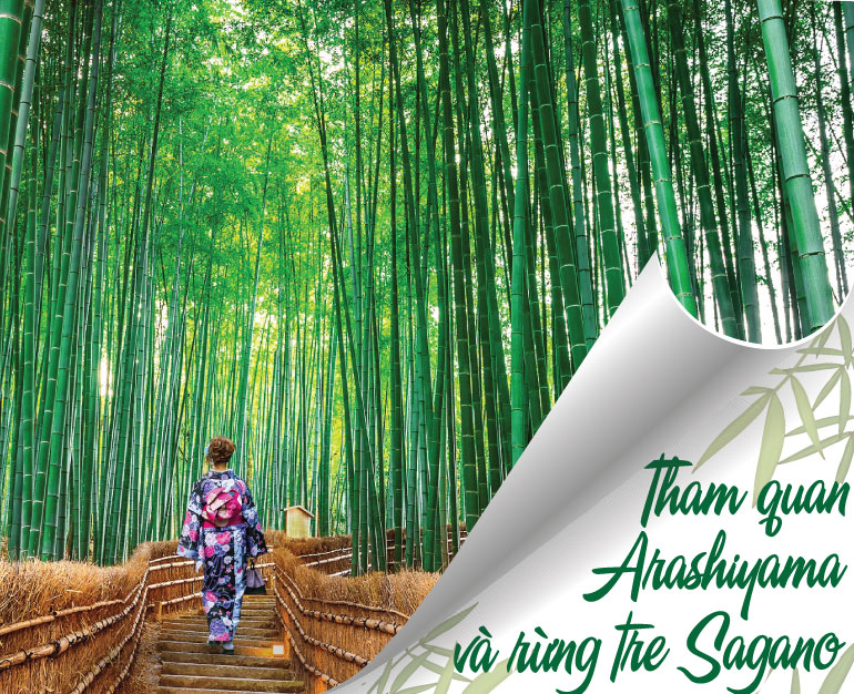 TOUR NHẬT BẢN – TOUR NỬA NGÀY ĐI BỘ THAM QUAN ARASHIYAMA VÀ RỪNG TRE SAGANO