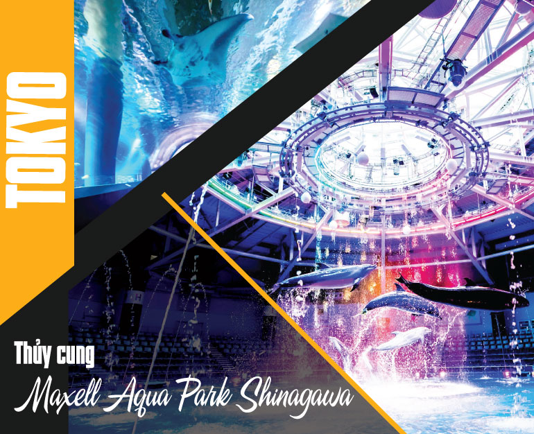 VÉ THAM QUAN THỦY CUNG MAXELL AQUA PARK SHINAGAWA KHI DU LỊCH TOKYO
