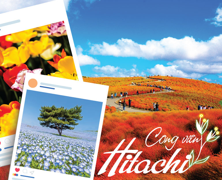 DU LỊCH NHẬT BẢN - THAM QUAN HITACHI CÙNG TOUR 1 NGÀY