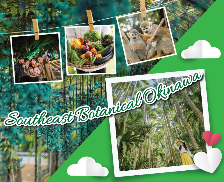 THAM QUAN VƯỜN SOUTHEAST BOTANICAL OKINAWA