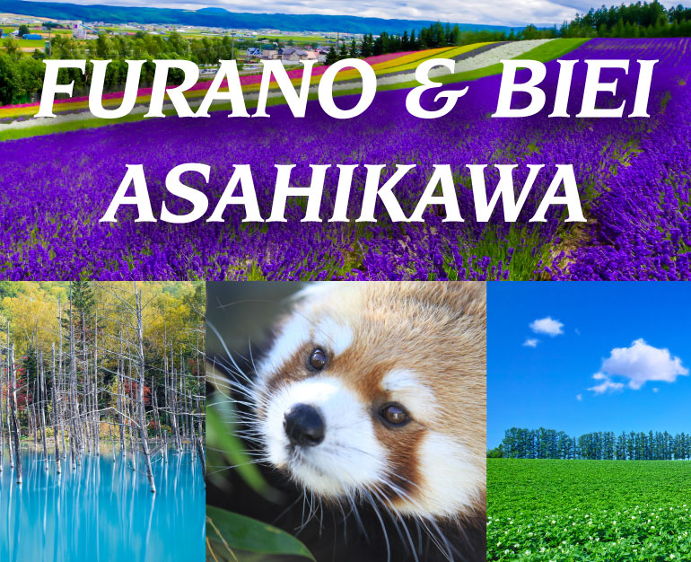 TOUR NHẬT GIÁ RẺ- 1 NGÀY VUI CHƠI TẠI ASAHIYAMA ZOO VÀ FURANO BIEI